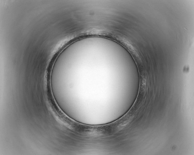 X0000093600678200711051158