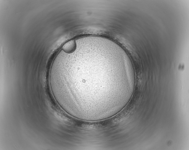 X0000093600679200711051158