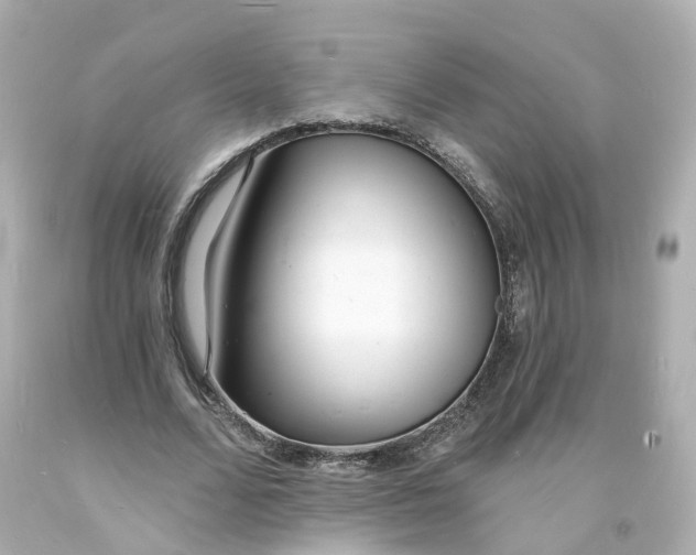 X0000093600680200711051158