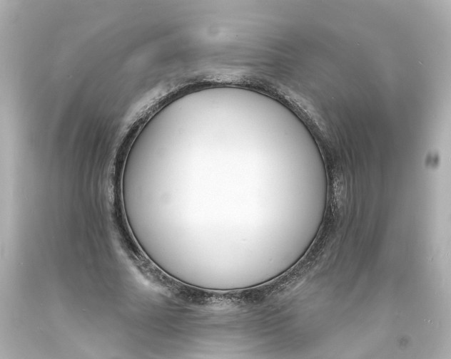 X0000093600682200711051158