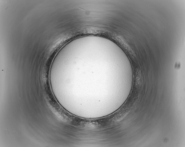 X0000093600683200711051158