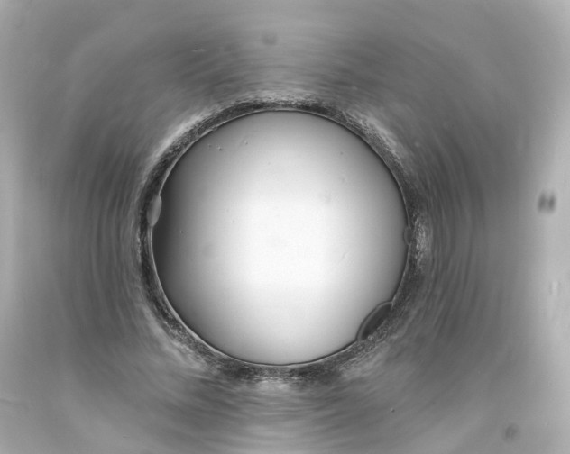 X0000093600684200711051158