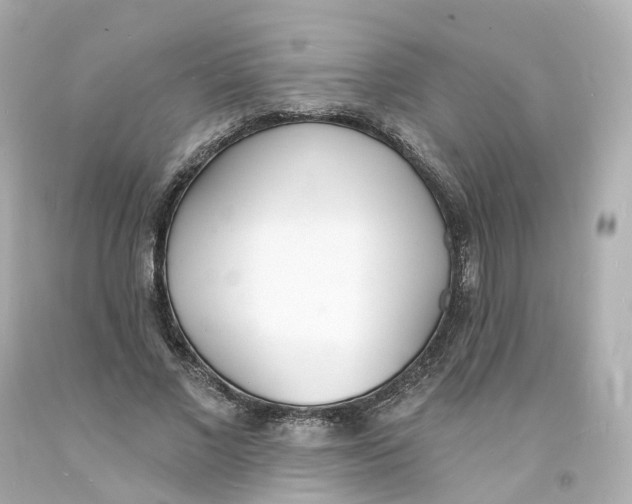 X0000093600685200711051158