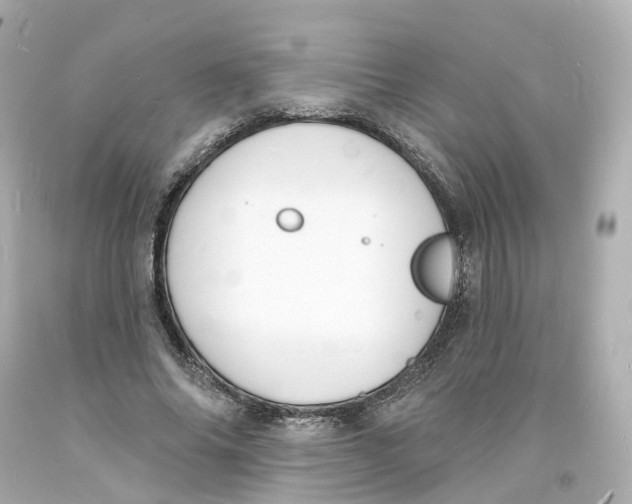 X0000093600686200711051158