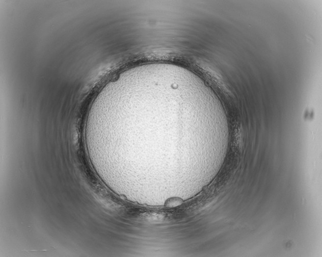 X0000093600687200711051158