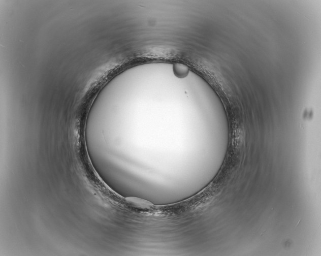 X0000093600688200711051158