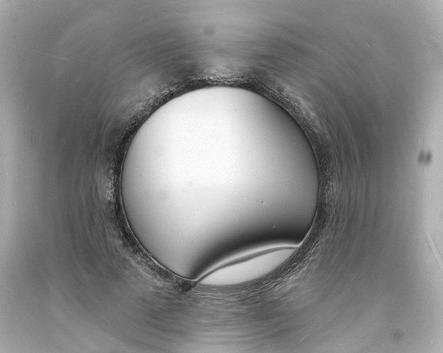 X0000093600689200711051158