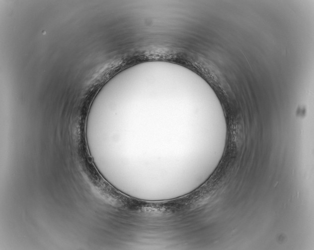 X0000093600690200711051158