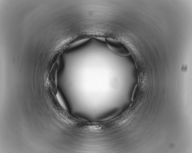 X0000093600692200711051158