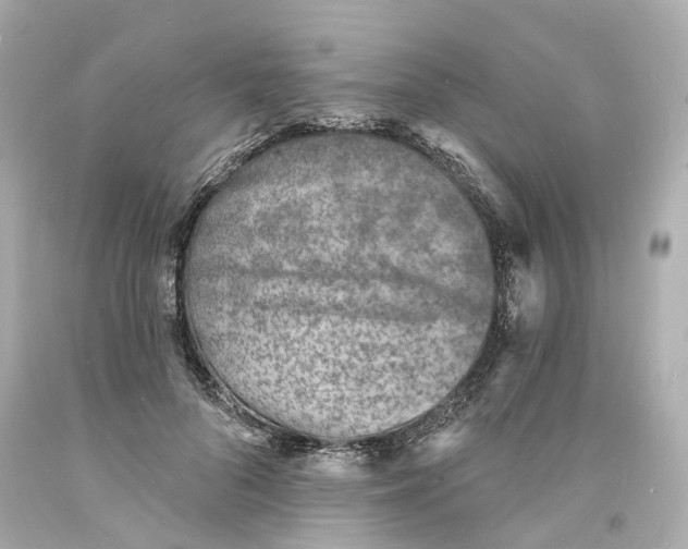 X0000093600696200711051158