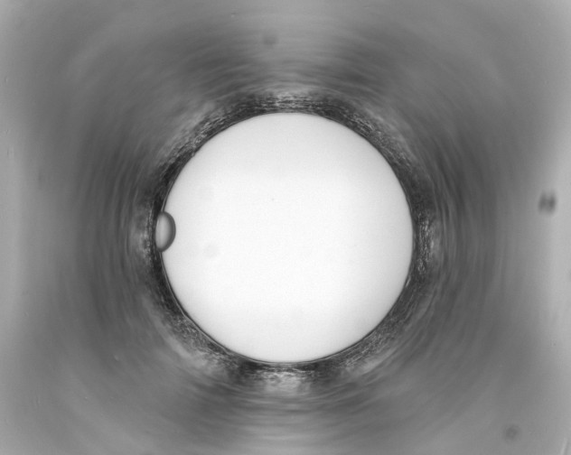 X0000093600698200711051158