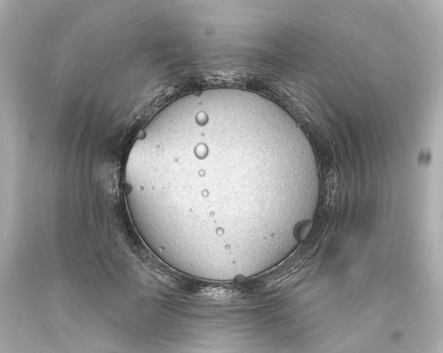 X0000093600699200711051158