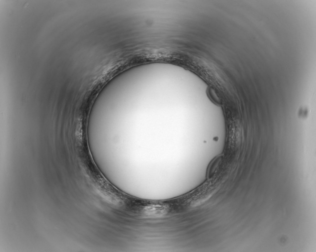 X0000093600700200711051158