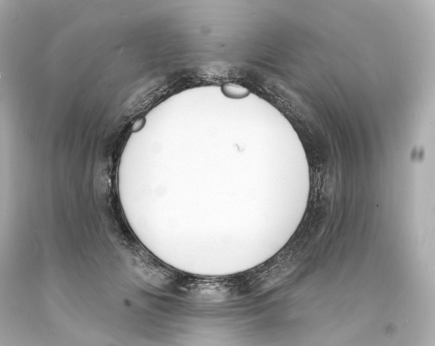 X0000093600702200711051158