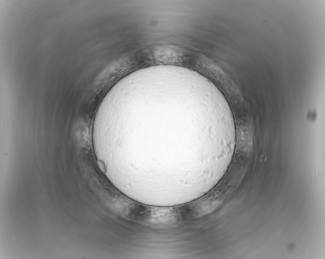 X0000093600705200711051158