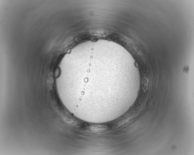 X0000093600707200711051158