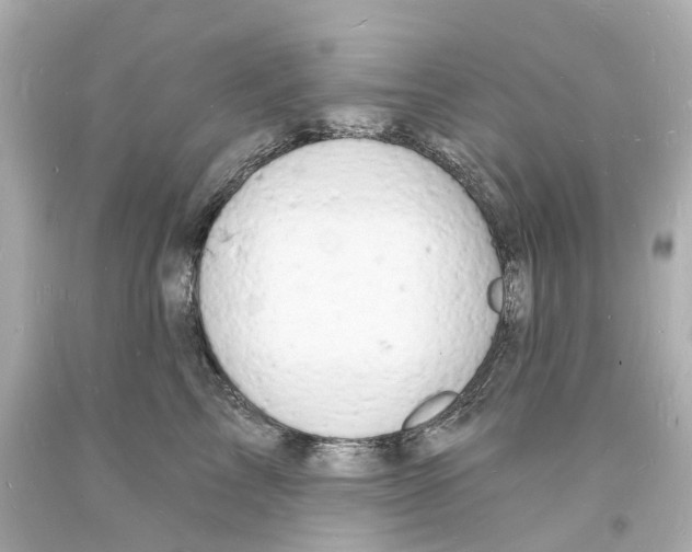 X0000093600713200711051158