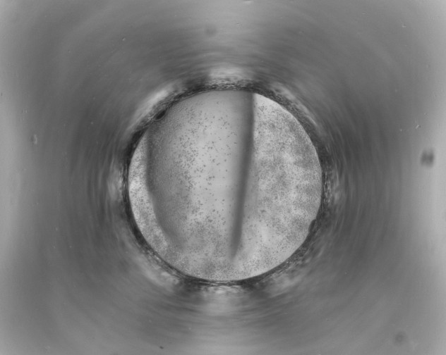 X0000093600716200711051158