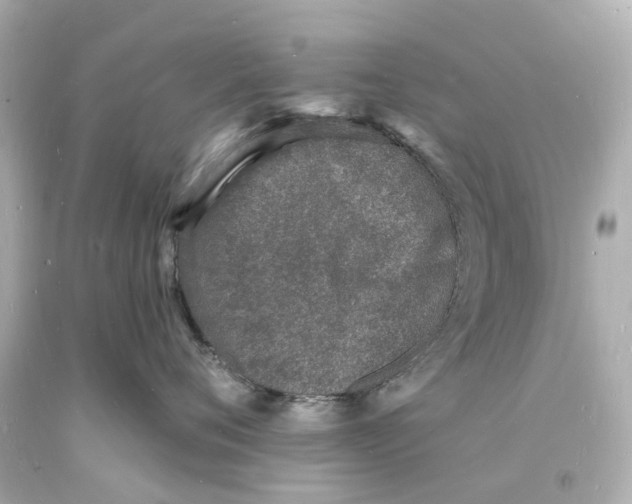 X0000093600720200711051158