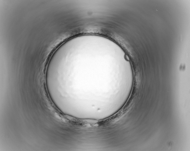 X0000093600721200711051157