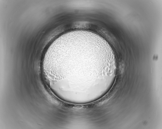 X0000093600725200711051157