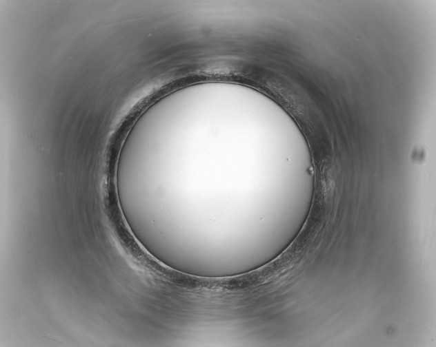 X0000093600728200711051157