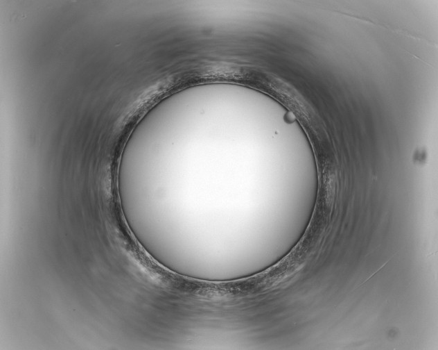 X0000093600729200711051157