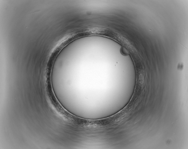 X0000093600730200711051157