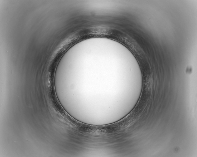 X0000093600731200711051157