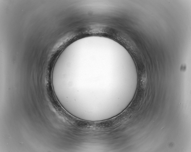 X0000093600732200711051157