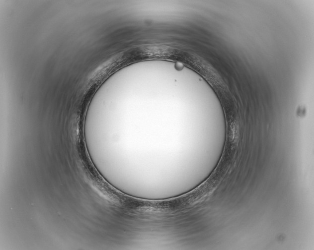 X0000093600733200711051157