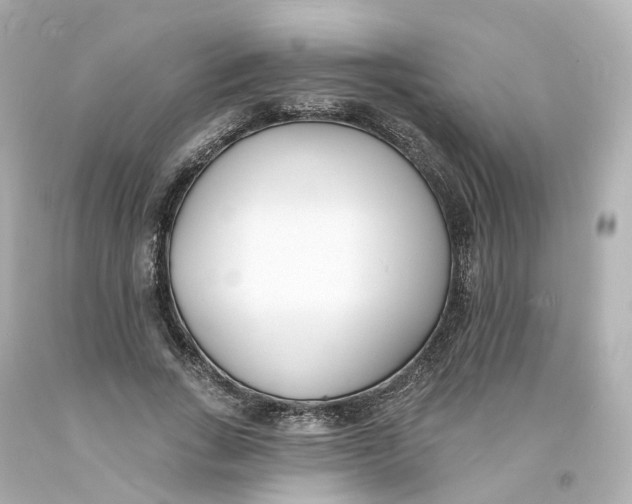 X0000093600735200711051157