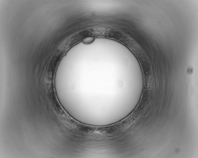 X0000093600737200711051157