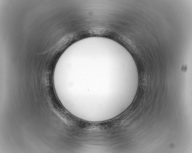 X0000093600738200711051158