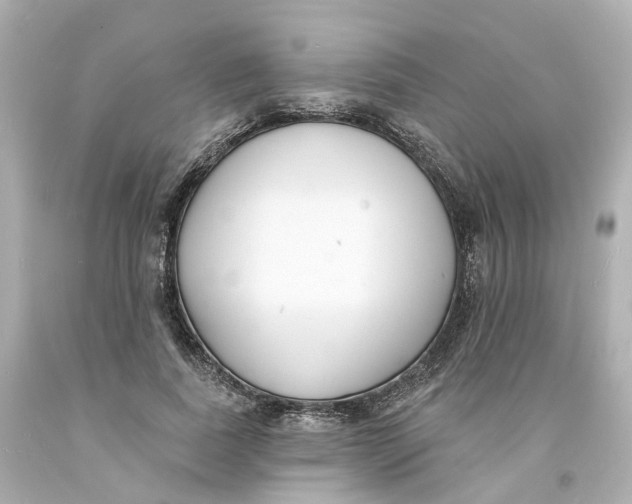 X0000093600739200711051158