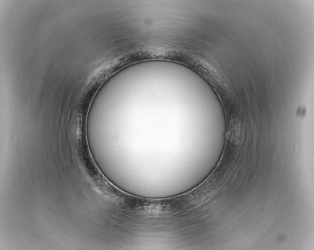 X0000093600740200711051158