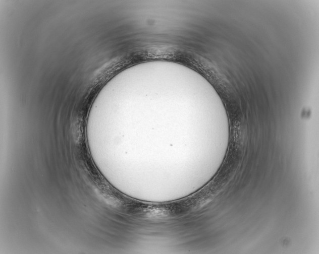 X0000093600741200711051158