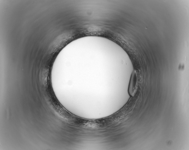 X0000093600742200711051158