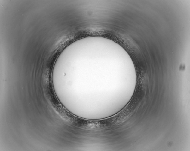 X0000093600744200711051158