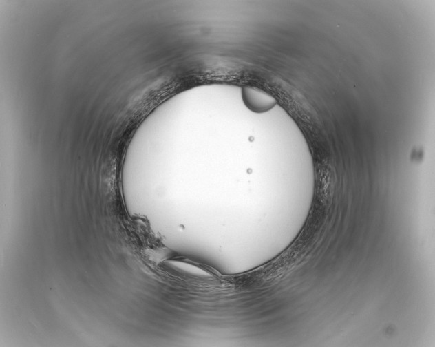 X0000093600745200711051158