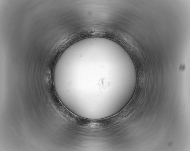 X0000093600748200711051158