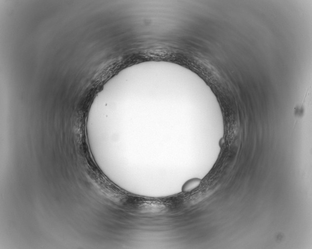 X0000093600749200711051158