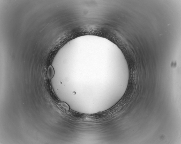 X0000093600750200711051158