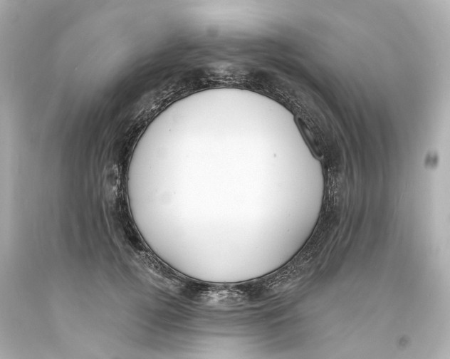 X0000093600752200711051158