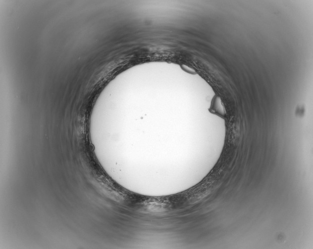 X0000093600756200711051158