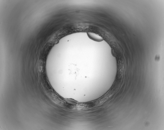 X0000093600758200711051158