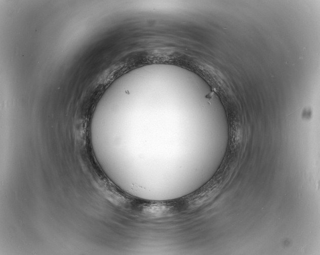 X0000093600759200711051158