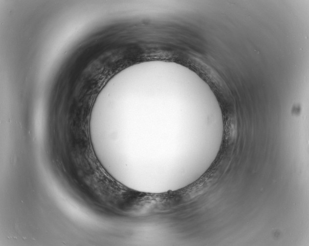 X0000093600764200711051158