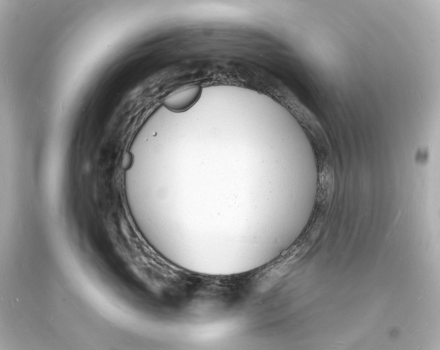 X0000093600765200711051158