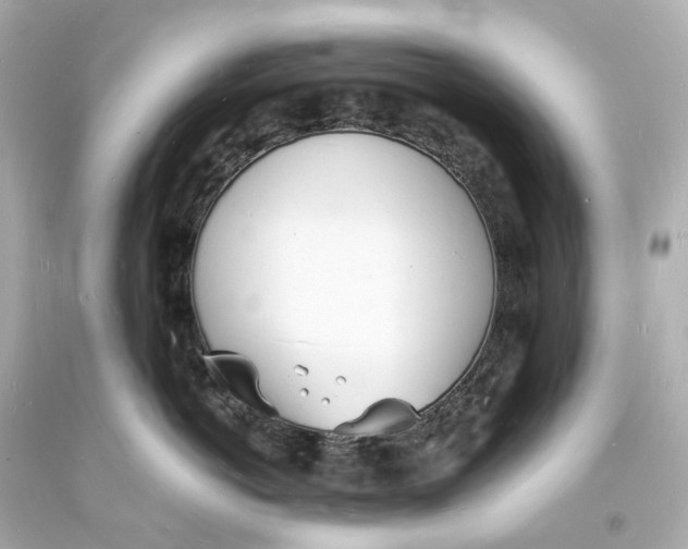 X0000093600766200711051158